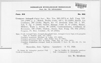Uromyces pisi-sativi image